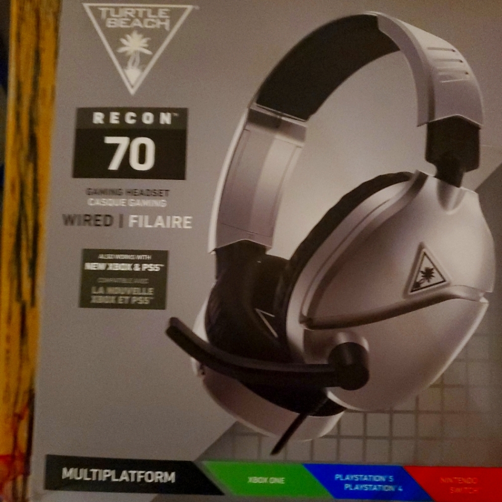 Turtle Beach Recon 70 Silver Headset